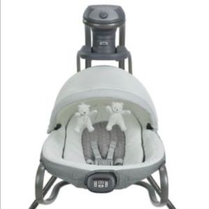 Graco Duet Oasis Swing